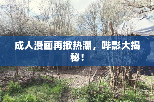 成人漫画再掀热潮，哔影大揭秘！