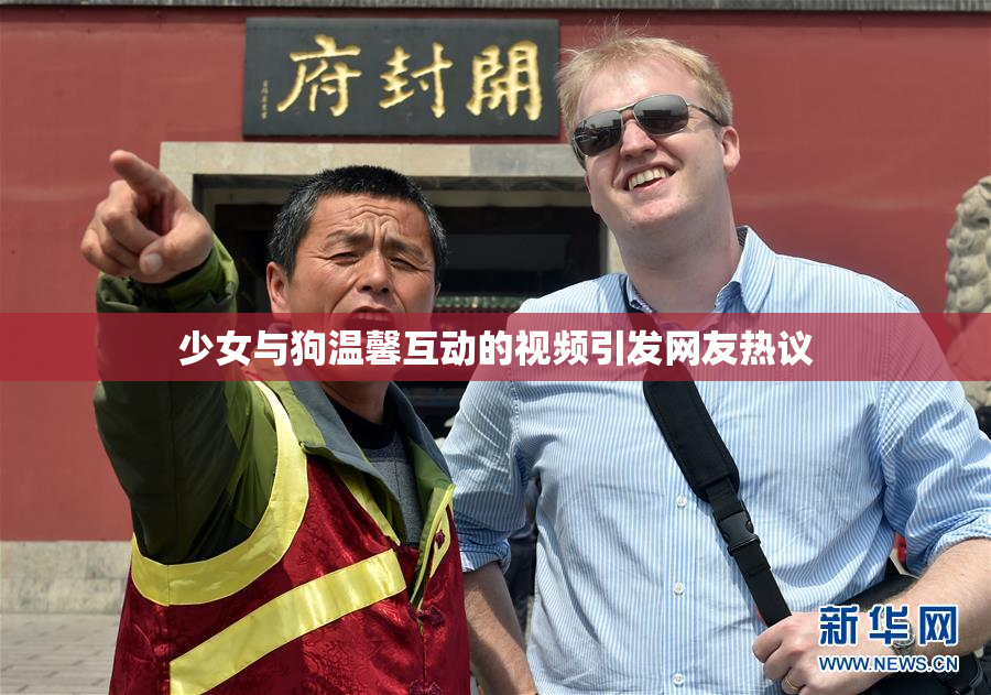 少女与狗温馨互动的视频引发网友热议