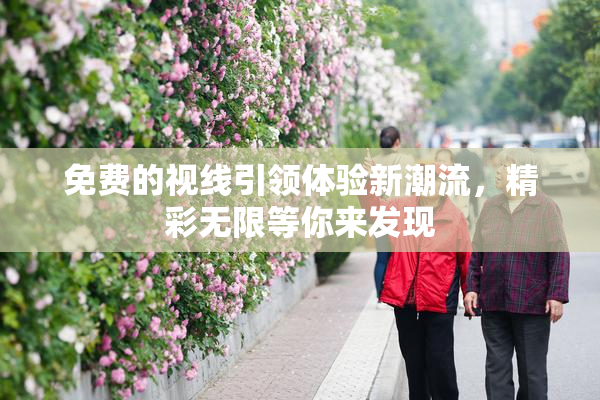 免费的视线引领体验新潮流，精彩无限等你来发现