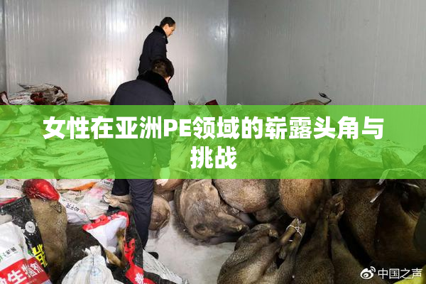 女性在亚洲PE领域的崭露头角与挑战
