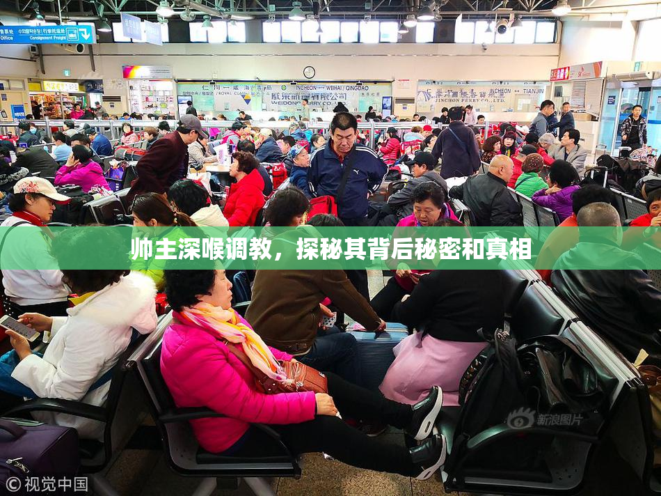 帅主深喉调教，探秘其背后秘密和真相