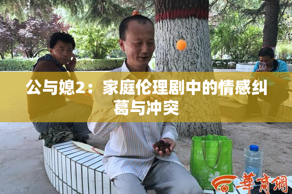 公与媳2：家庭伦理剧中的情感纠葛与冲突