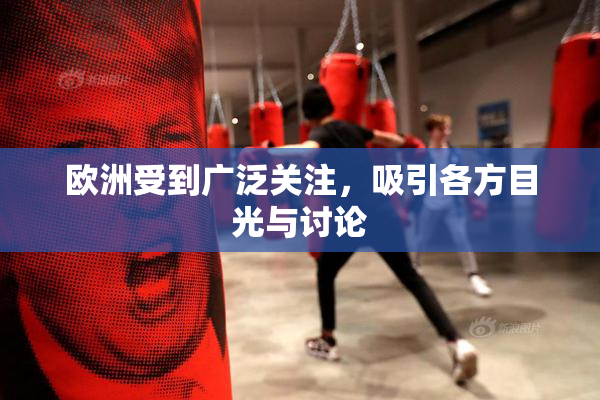 欧洲受到广泛关注，吸引各方目光与讨论