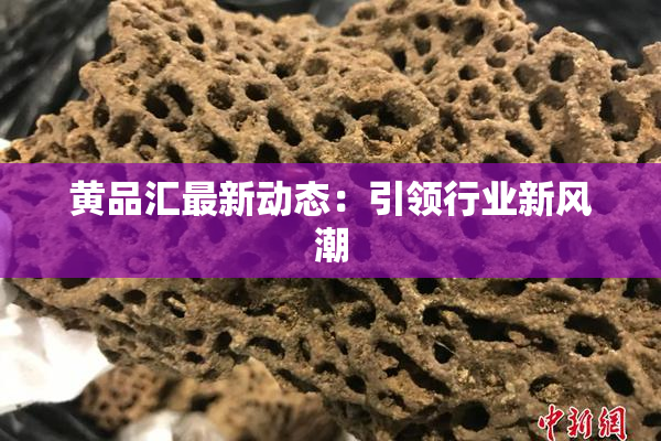 黄品汇最新动态：引领行业新风潮