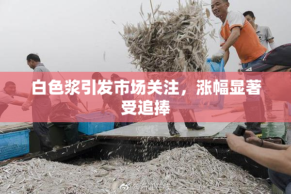白色浆引发市场关注，涨幅显著受追捧