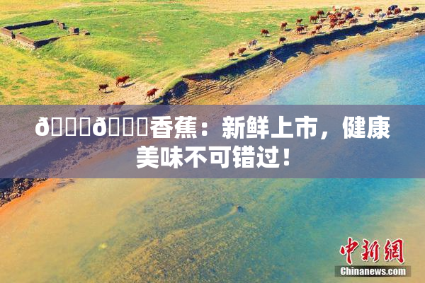 🔞🔞香蕉：新鲜上市，健康美味不可错过！