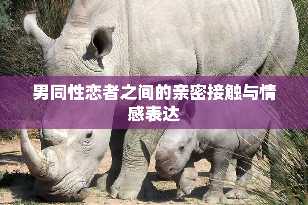 男同性恋者之间的亲密接触与情感表达