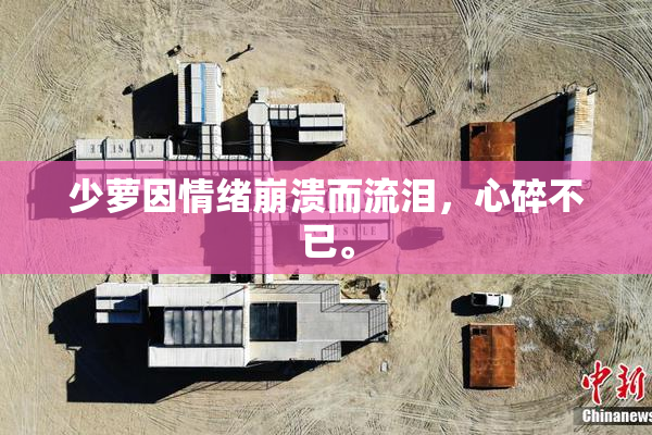 少萝因情绪崩溃而流泪，心碎不已。