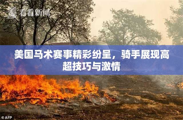 美国马术赛事精彩纷呈，骑手展现高超技巧与激情