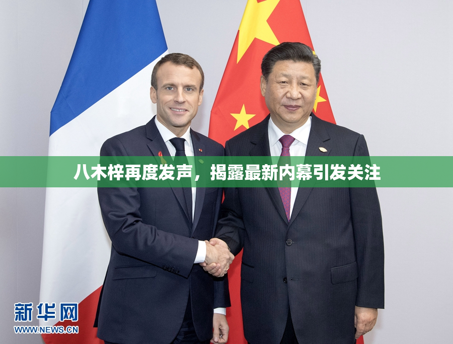 八木梓再度发声，揭露最新内幕引发关注