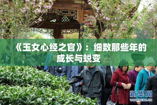 《玉女心经之官》：细数那些年的成长与蜕变