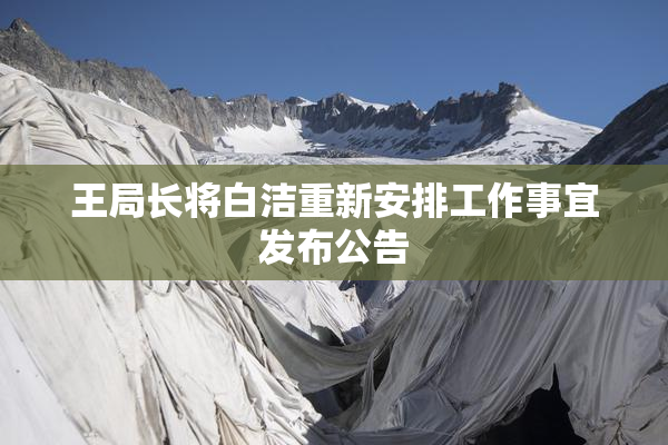王局长将白洁重新安排工作事宜发布公告