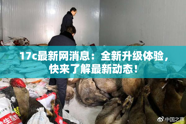 17c最新网消息：全新升级体验，快来了解最新动态！