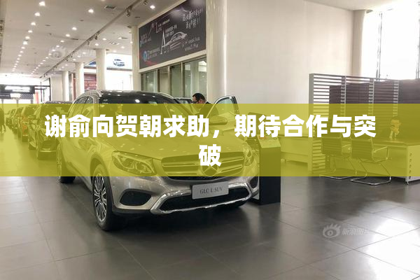 谢俞向贺朝求助，期待合作与突破