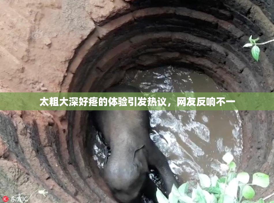 太粗大深好疼的体验引发热议，网友反响不一