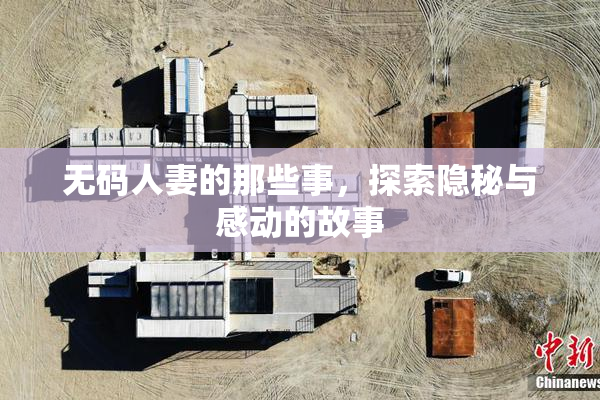 无码人妻的那些事，探索隐秘与感动的故事