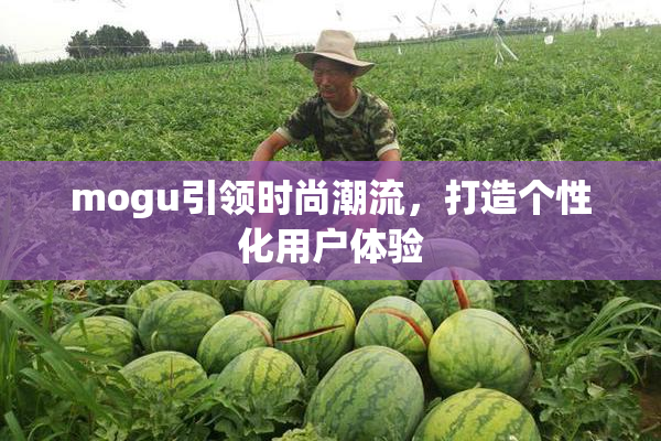 mogu引领时尚潮流，打造个性化用户体验
