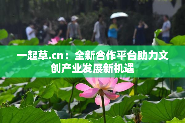 一起草.cn：全新合作平台助力文创产业发展新机遇