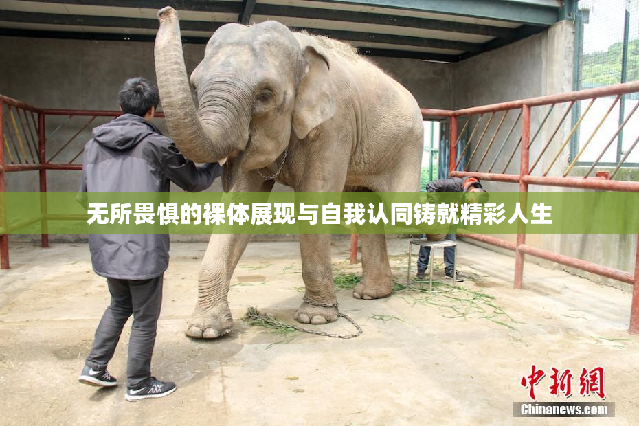 无所畏惧的裸体展现与自我认同铸就精彩人生