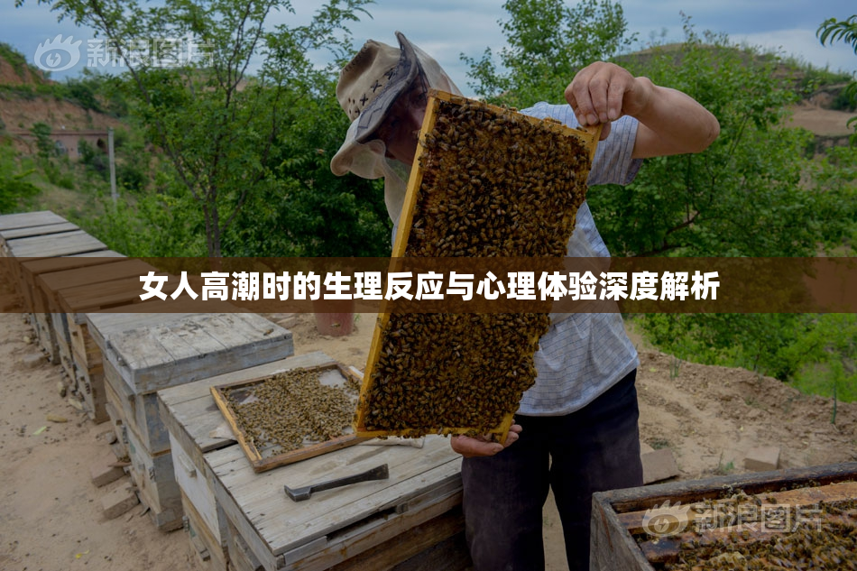 女人高潮时的生理反应与心理体验深度解析