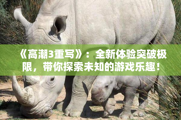 《高潮3重写》：全新体验突破极限，带你探索未知的游戏乐趣！