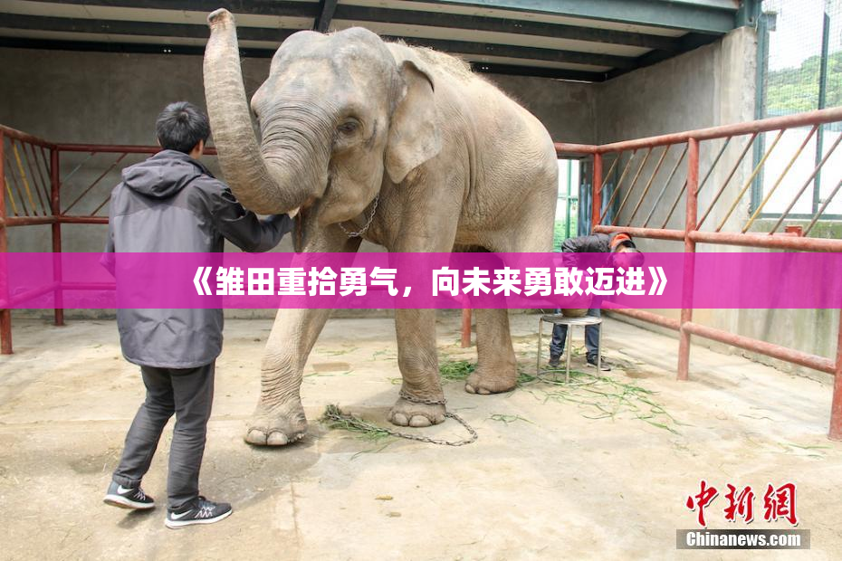 《雏田重拾勇气，向未来勇敢迈进》