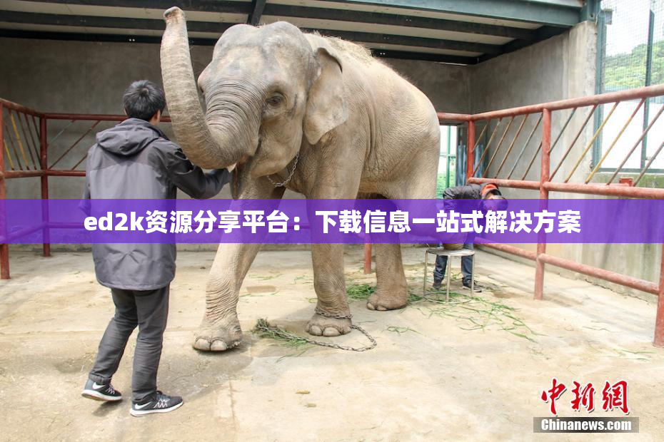 ed2k资源分享平台：下载信息一站式解决方案