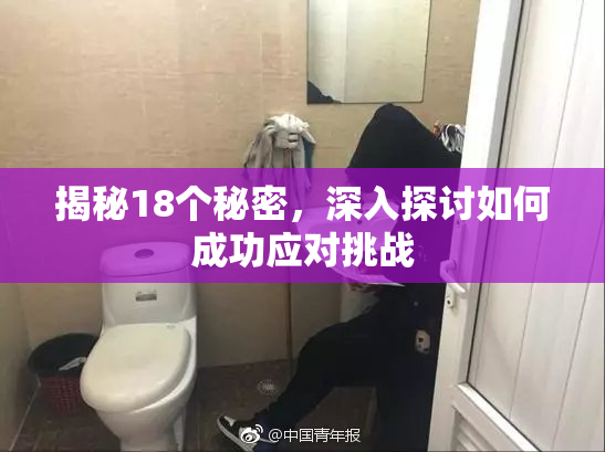 揭秘18个秘密，深入探讨如何成功应对挑战