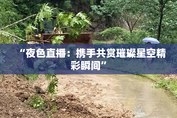 “夜色直播：携手共赏璀璨星空精彩瞬间”