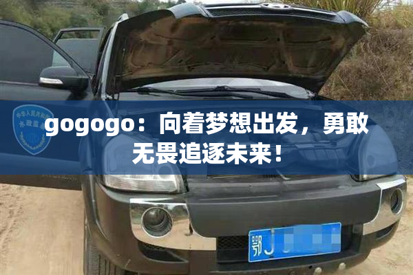gogogo：向着梦想出发，勇敢无畏追逐未来！