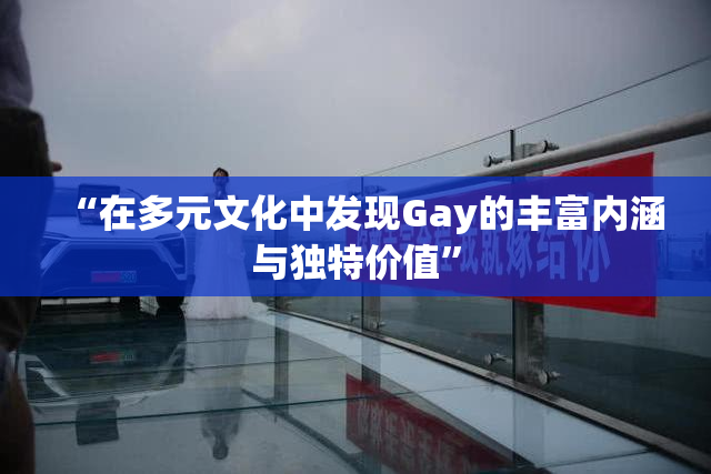 “在多元文化中发现Gay的丰富内涵与独特价值”