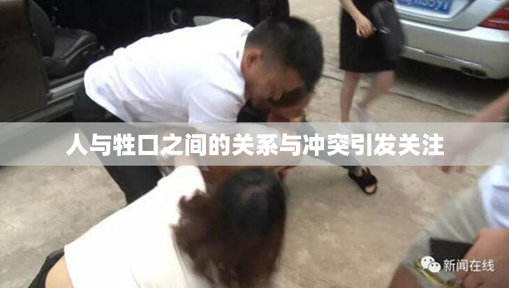 人与牲口之间的关系与冲突引发关注