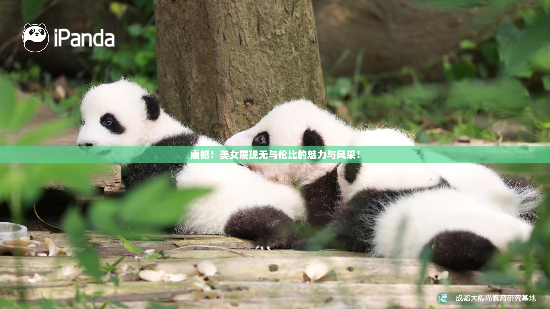 震撼！美女展现无与伦比的魅力与风采！