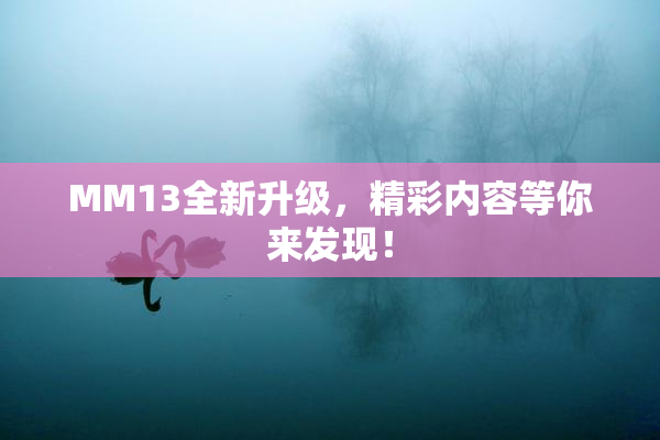 MM13全新升级，精彩内容等你来发现！