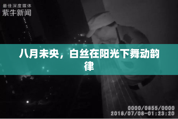 八月未央，白丝在阳光下舞动韵律