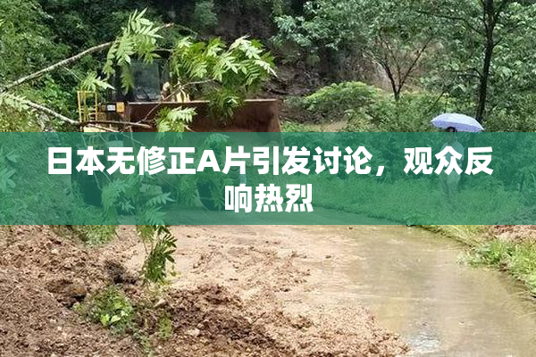 日本无修正A片引发讨论，观众反响热烈
