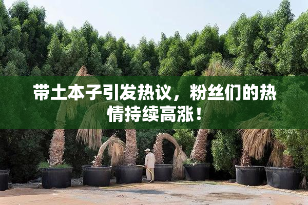 带土本子引发热议，粉丝们的热情持续高涨！