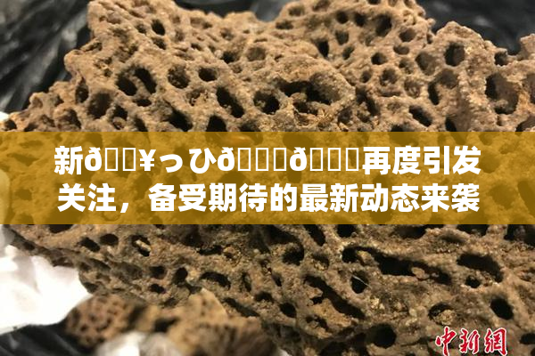 新🔥っひ🍑🍑再度引发关注，备受期待的最新动态来袭！