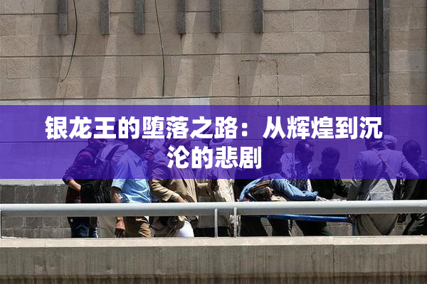 银龙王的堕落之路：从辉煌到沉沦的悲剧