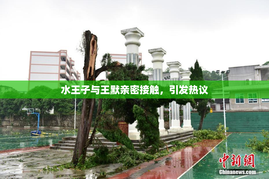 水王子与王默亲密接触，引发热议