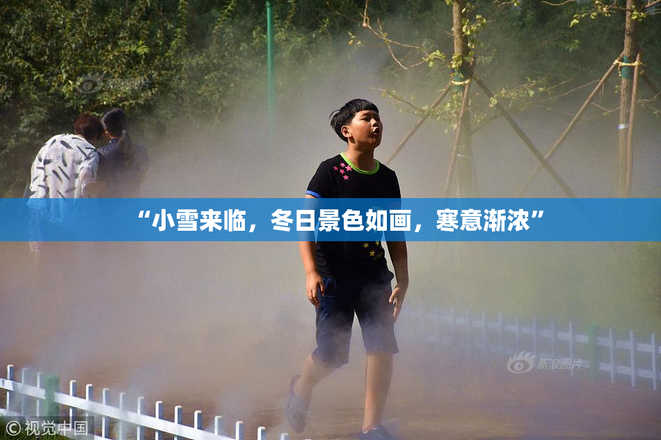 “小雪来临，冬日景色如画，寒意渐浓”