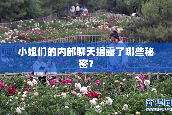 小姐们的内部聊天揭露了哪些秘密？