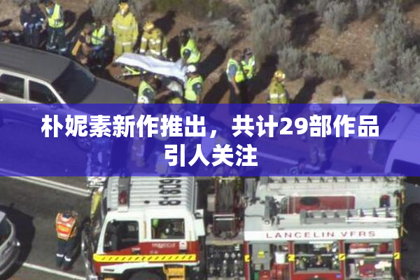 朴妮素新作推出，共计29部作品引人关注