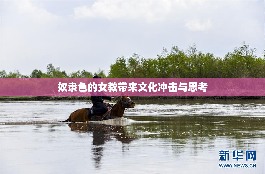 奴隶色的女教带来文化冲击与思考