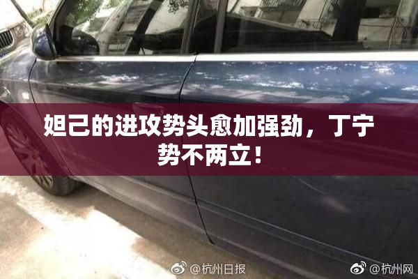 妲己的进攻势头愈加强劲，丁宁势不两立！