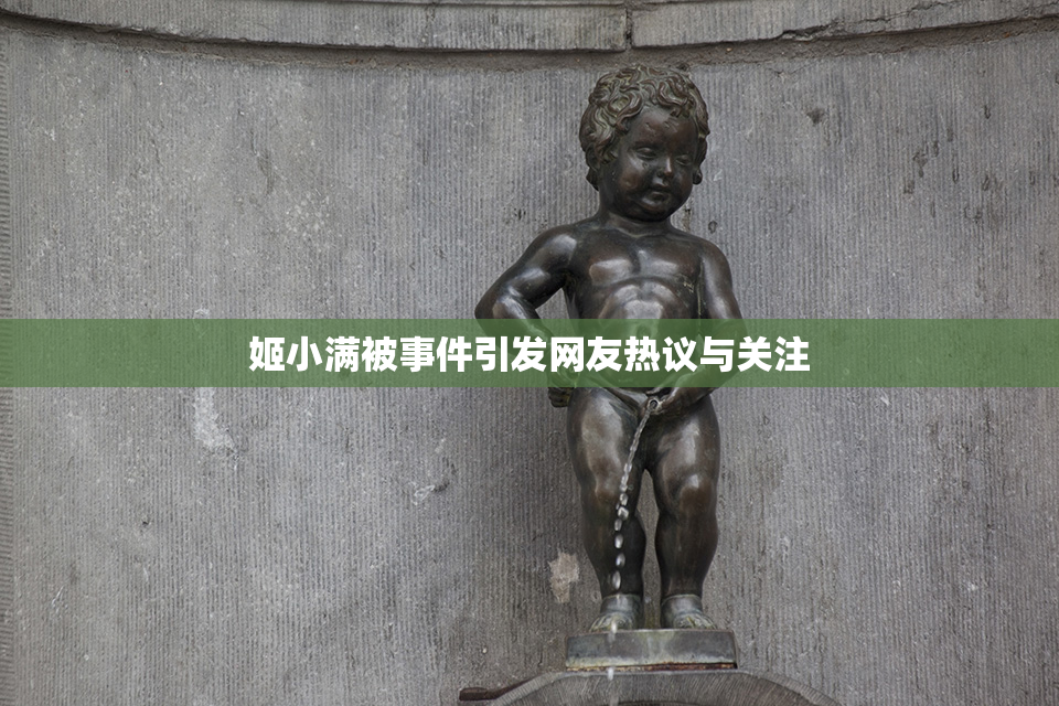 姬小满被事件引发网友热议与关注
