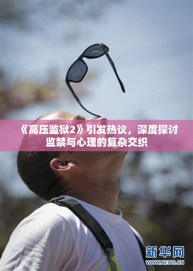《高压监狱2》引发热议，深度探讨监禁与心理的复杂交织
