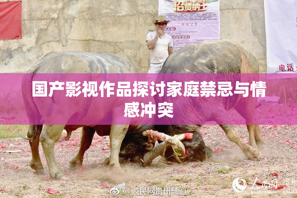 国产影视作品探讨家庭禁忌与情感冲突