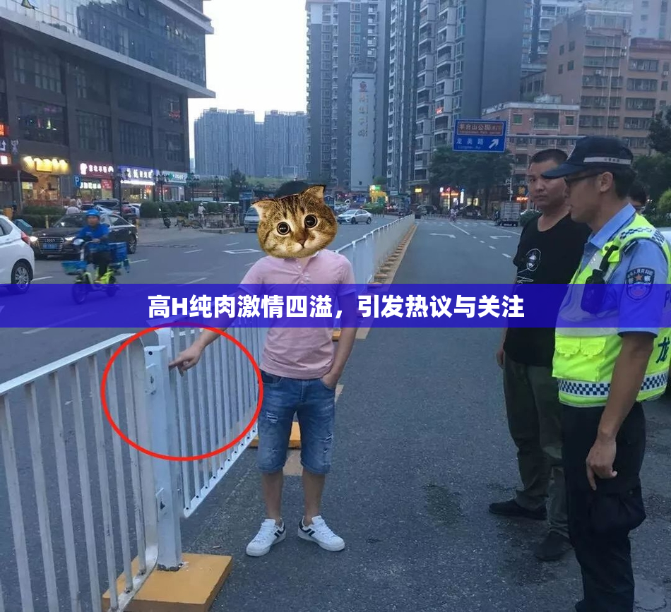 高H纯肉激情四溢，引发热议与关注
