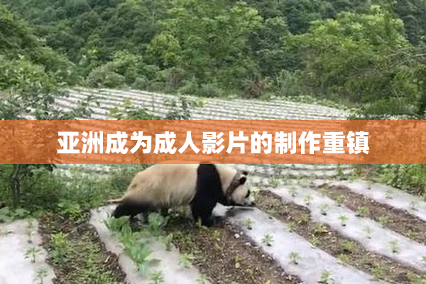 亚洲成为成人影片的制作重镇